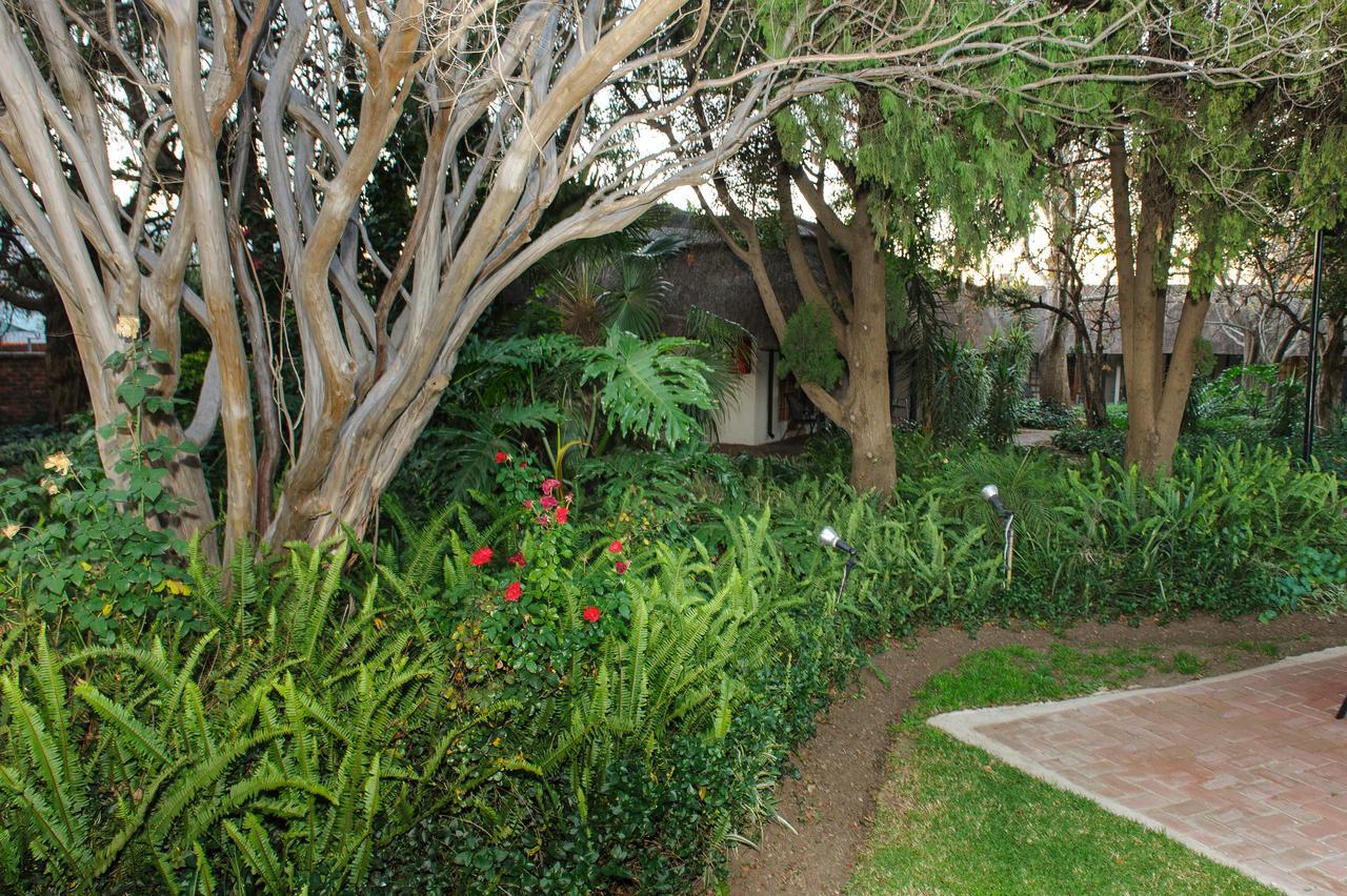 Safari Club Guest Lodge Or Tambo International Airport Kempton Park Luaran gambar